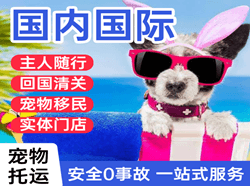凤凰机场物流国际宠物托运 【国
